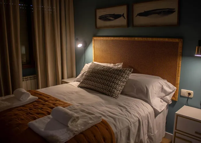 Lubians 公寓 庞特维德拉